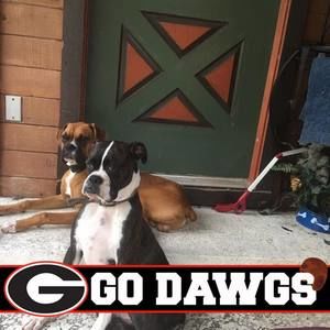 Meet your Posher, Darcy